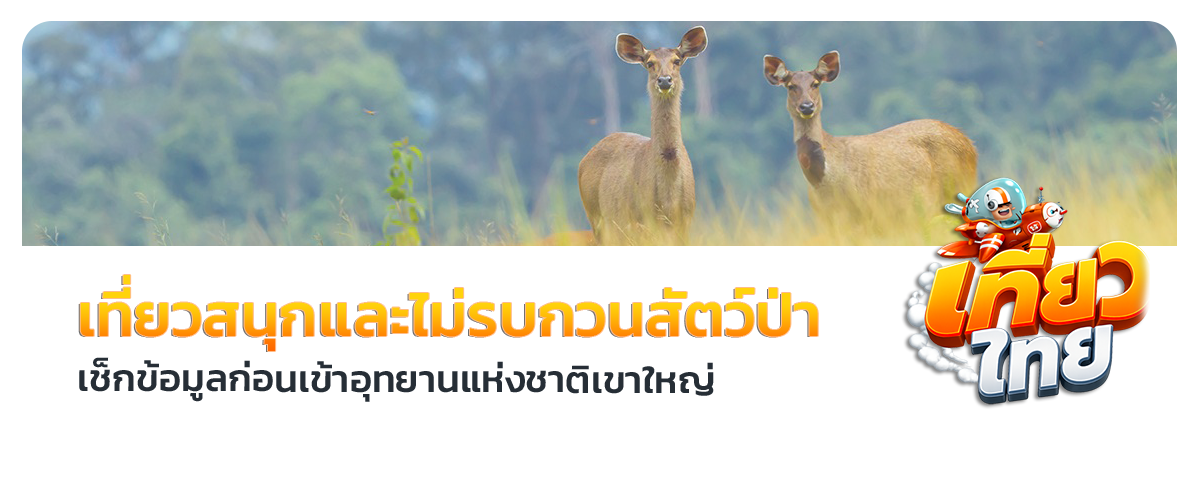 เที่ยวเขาใหญ่ 2 วัน 1 คืน
